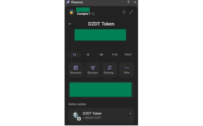 DZDT Token